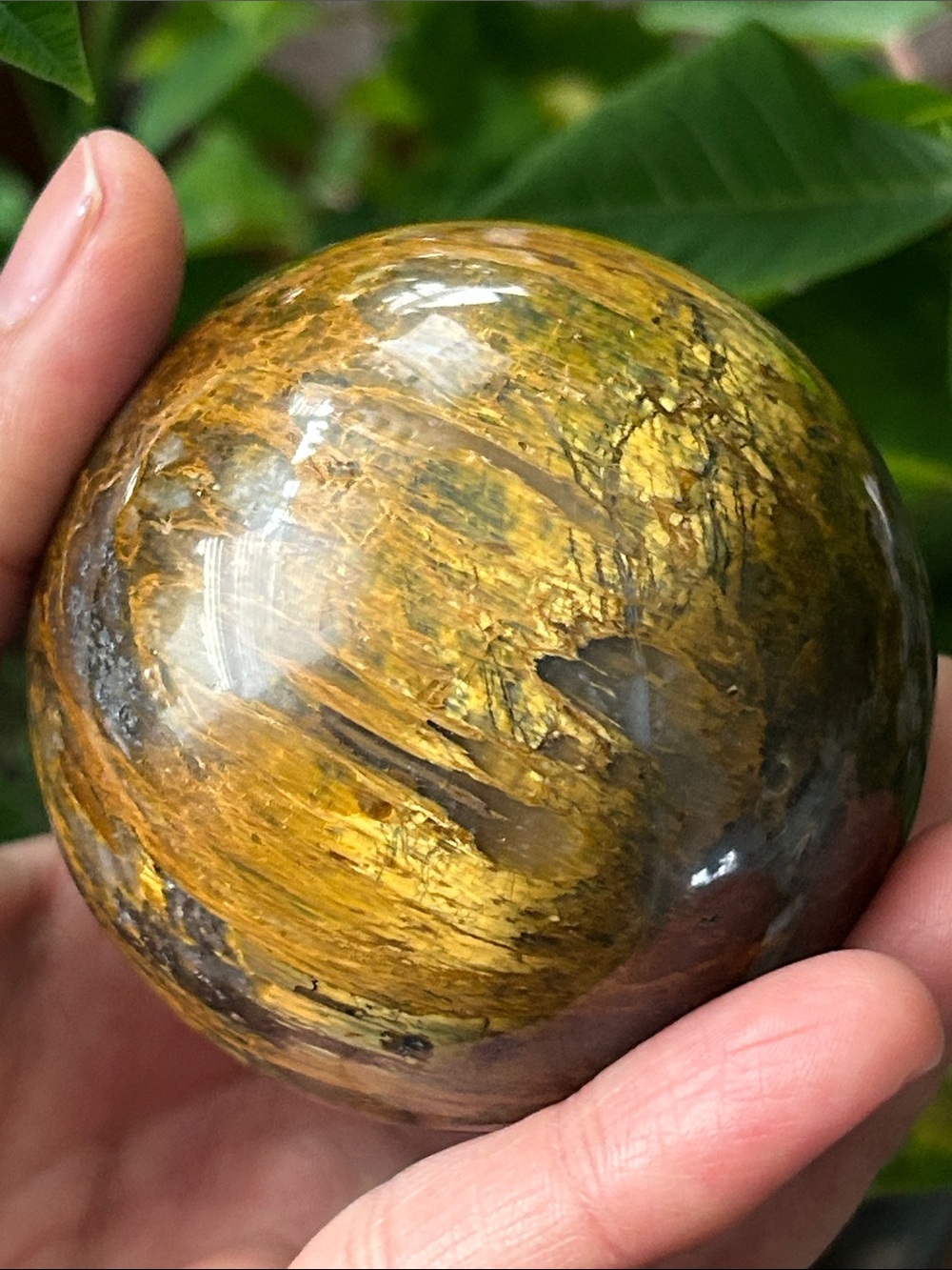 💎 Polished Pietersite Crystal Sphere 64mm